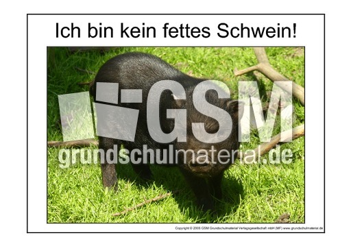 Fettes-Schwein-2.pdf